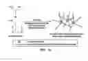 Fig. 03 - Facile method for making non-toxic biomedical compositions comprising hybrid metal-polymer microparticles