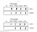 Fig. 04 - PEPTIDE HAVING CANCER SELECTIVE TRANSLOCATION FUNCTION AND USE THEREOF