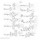 Fig. 02 - Enzymatic conjugation of polypeptides