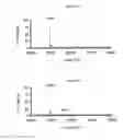 Fig. 17 - Enzymatic conjugation of polypeptides