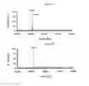 Fig. 27 - Enzymatic conjugation of polypeptides