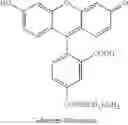 Fig. 40 - Enzymatic conjugation of polypeptides
