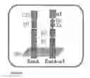 Fig. 04 - NON-NATURAL MIC PROTEINS