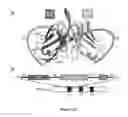 Fig. 19 - NON-NATURAL MIC PROTEINS