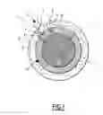 Fig. 02 - Nanoparticles for Targeting for a Biological Application
