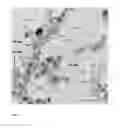Fig. 09 - MAGNETIC NANOPARTICLES DISPERSION, ITS PREPARATION AND DIAGNOSTIC AND THERAPEUTIC USE