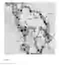Fig. 10 - MAGNETIC NANOPARTICLES DISPERSION, ITS PREPARATION AND DIAGNOSTIC AND THERAPEUTIC USE