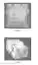 Fig. 11 - CONTRAST IMAGING APPLICATIONS FOR LANTHANIDE NANOPARTICLES