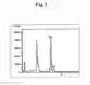 Fig. 04 - Production method for biomedical and industrial material using ceramic derived from birds' beaks