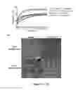 Fig. 08 - CONTROLLING EXTRACELLULAR MATRIX PROTEIN MICROSTRUCTURE WITH ULTRASOUND