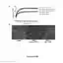Fig. 09 - CONTROLLING EXTRACELLULAR MATRIX PROTEIN MICROSTRUCTURE WITH ULTRASOUND