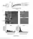 Fig. 10 - CONTROLLING EXTRACELLULAR MATRIX PROTEIN MICROSTRUCTURE WITH ULTRASOUND