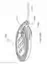 Fig. 265 - Infusion pump assembly