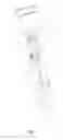 Fig. 06 - EXTRACTION DEVICE FOR COLLECTING BLOOD SAMPLES, INCLUDING A CATHETER AND A SAFETY SYSTEM