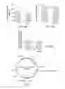 Fig. 09 - Light-activated cation channel and uses thereof