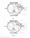 Fig. 08 - System and Method for Treating Cartilage and Injuries to Joints and Connective Tissue
