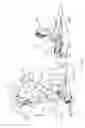 Fig. 10 - Exercise machine having elastic exercise resistance cables