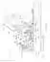 Fig. 31 - Exercise machine having elastic exercise resistance cables