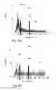 Fig. 08 - Method and device for measuring muscle signals