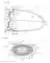 Fig. 04 - Golf club head