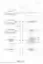 Fig. 19 - SYSTEM AND METHOD FOR AN INTERACTIVE SHOPPING GAME