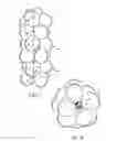 Fig. 05 - BALLOON SCULPTURING DEVICE