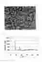 Fig. 05 - METAL COMPLEX, AND ABSORBENT, OCCLUSION MATERIAL AND SEPARATION MATERIAL PRODUCED THEREFROM