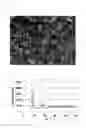 Fig. 06 - METAL COMPLEX, AND ABSORBENT, OCCLUSION MATERIAL AND SEPARATION MATERIAL PRODUCED THEREFROM