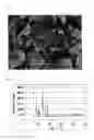Fig. 07 - METAL COMPLEX, AND ABSORBENT, OCCLUSION MATERIAL AND SEPARATION MATERIAL PRODUCED THEREFROM