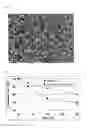 Fig. 08 - METAL COMPLEX, AND ABSORBENT, OCCLUSION MATERIAL AND SEPARATION MATERIAL PRODUCED THEREFROM
