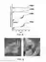 Fig. 07 - Vapor phase methods of forming supported highly branched polyamines