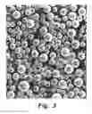 Fig. 04 - Zeolite-containing catalyst and method for producing the same, and method for producing propylene