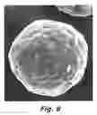 Fig. 09 - Zeolite-containing catalyst and method for producing the same, and method for producing propylene