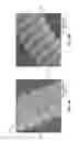 Fig. 05 - Systems and methods for fabricating spiral coils with atomized bioactive coatings