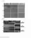 Fig. 06 - Coating method using particle alignment and particle coated substrate manufactured thereby