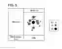 Fig. 06 - Peeling method and peeling apparatus