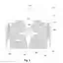 Fig. 04 - Methods and apparatus to perform a liquid-jet guided laser process and to simplify the maintenance thereof