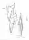 Fig. 10 - FLOORING NAILER HAVING AN INVERTABLE OBJECT ABUTMENT MEMBER