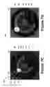 Fig. 09 - Methods and systems for selecting a velocity profile for controlling a robotic device