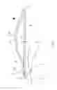 Fig. 04 - Hair Cutter