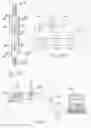 Fig. 08 - Method of producing an assembly for use in a fibre reinforced structural element