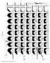 Fig. 08 - MOLDED POLYMERIC STRUCTURE, METHOD AND APPARATUS FOR MAKING SAME