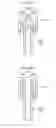 Fig. 13 - Liquid droplet ejecting apparatus
