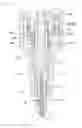 Fig. 33 - Ball pen
