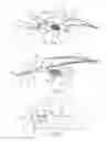 Fig. 02 - Trail-edge flap system for a wing of an aircraft