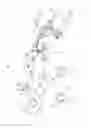 Fig. 04 - APPARATUS FOR SUPPLYING PACKING PAPER OF AUTOMATIC MEDICINE PACKING APPARATUS