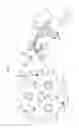 Fig. 07 - APPARATUS FOR SUPPLYING PACKING PAPER OF AUTOMATIC MEDICINE PACKING APPARATUS