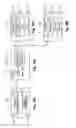Fig. 08 - Printing apparatus