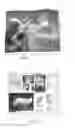 Fig. 02 - FOLDED BOOKLET AND METHOD