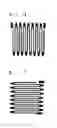 Fig. 05 - PREPARATION OF AN ELECTRODE-ACTIVE MATERIAL USING DECOMPRESSION EQUIPMENT